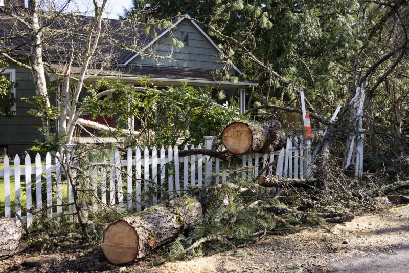 Fallen Tree Removal in Montgomery County, PA