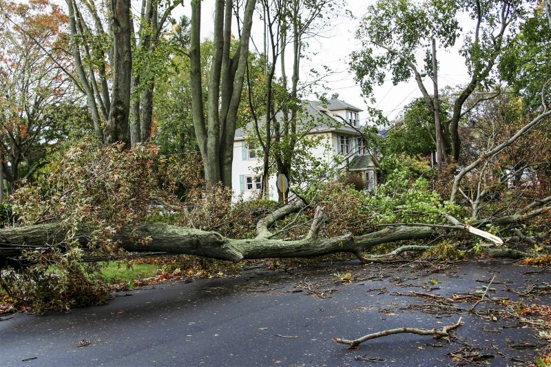 Clearing Debris from Street