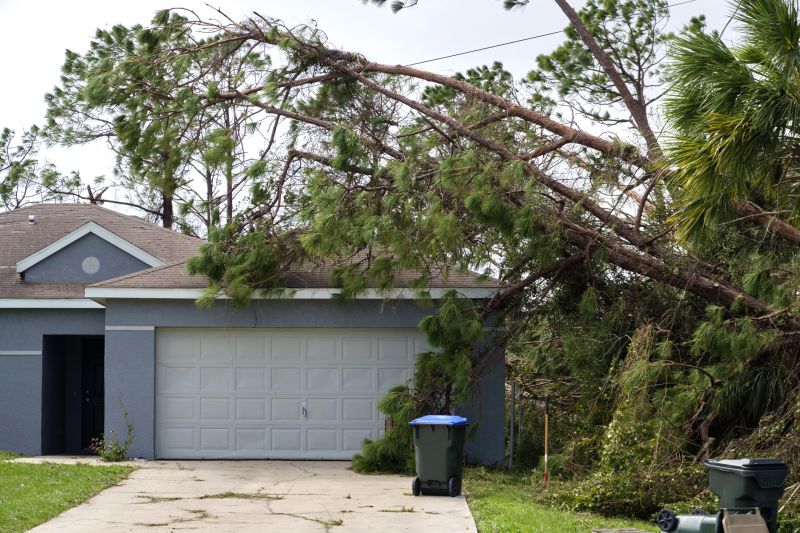 Fallen Tree Removal in Aiken, SC