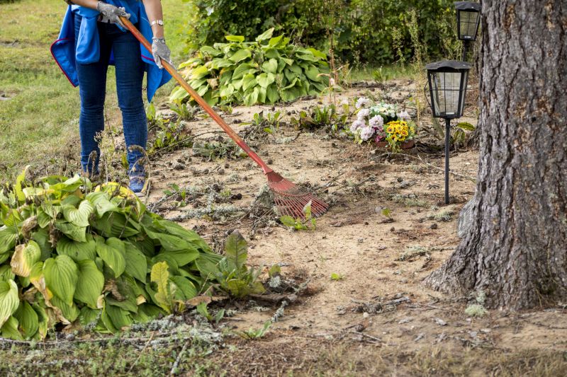 Ground Clearing in Salt Lake City, UT