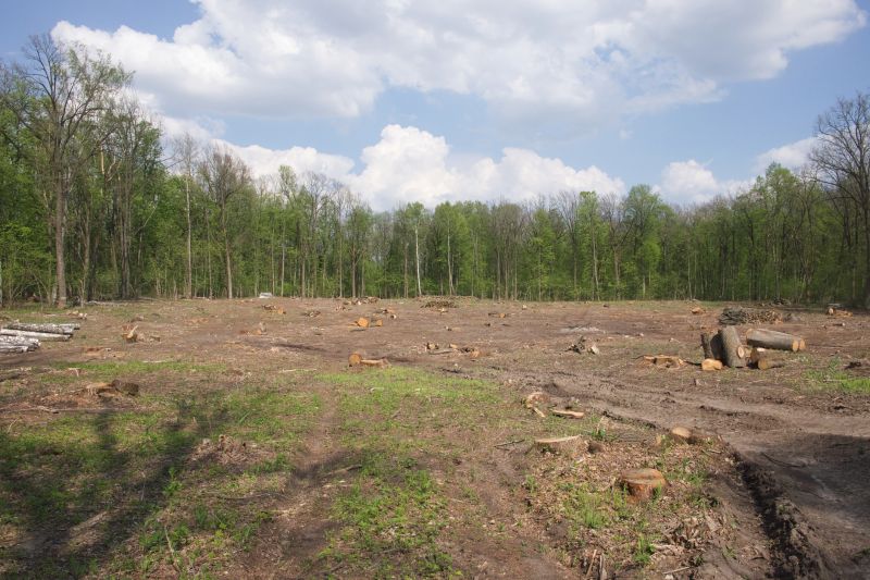 Land Clearing in Katy, TX