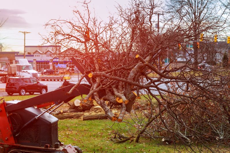 Land Clearing in Marietta, GA