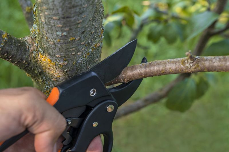 Tree Removal Service in Doylestown, PA