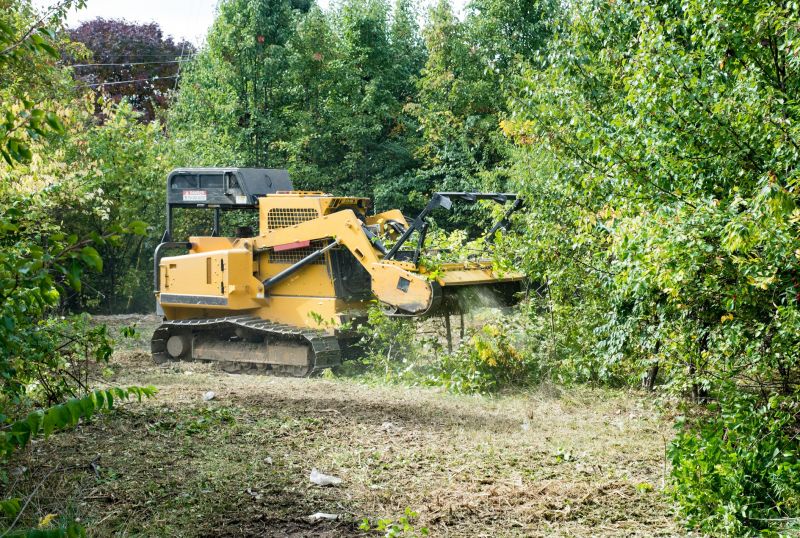 Undergrowth Removal in Katy, TX